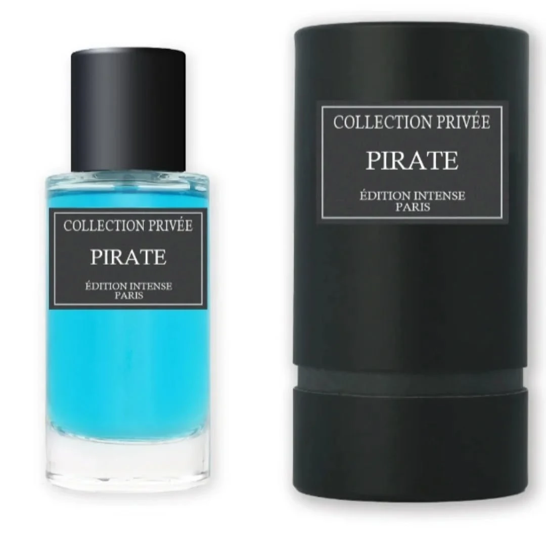 Pirate ( inspiration de Pirate 2.0 )