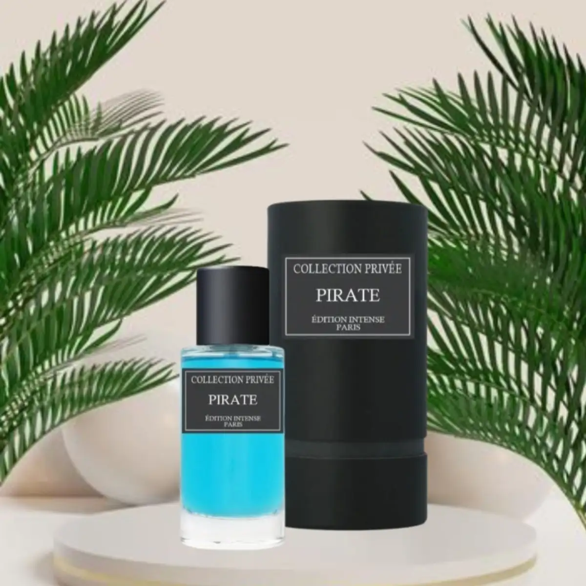Pirate ( inspiration de Pirate 2.0 )